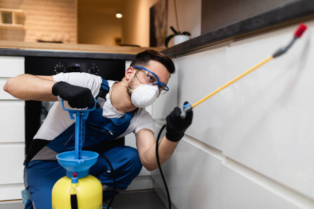 Best Wasp Removal Services  in San Jacinto, CA
