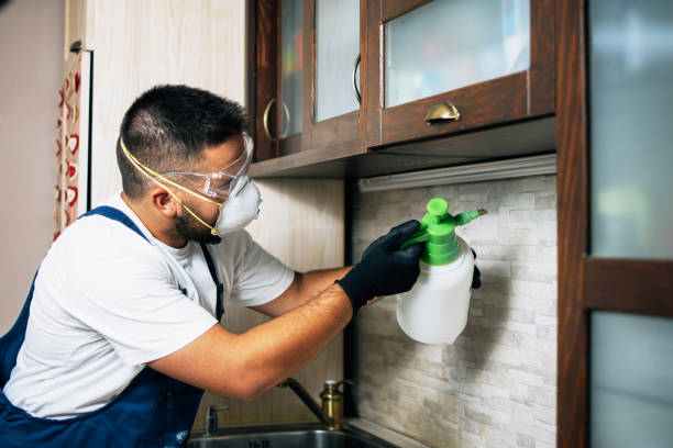 Best Residential Pest Control  in San Jacinto, CA
