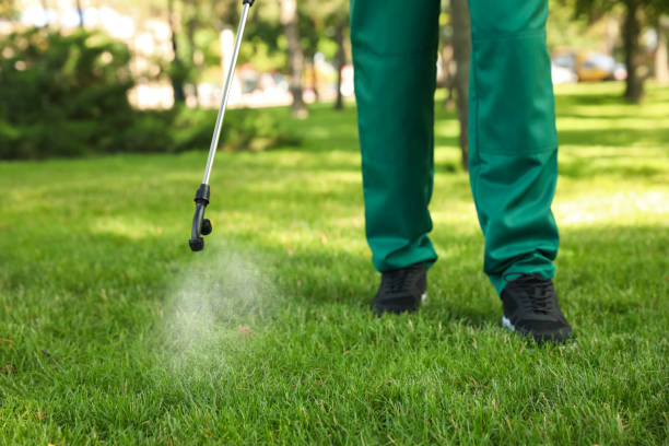 Best Exterminator Services  in San Jacinto, CA