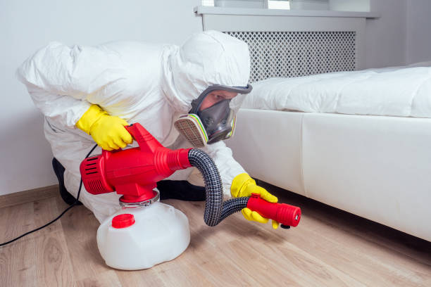Best Commercial Pest Control Services  in San Jacinto, CA