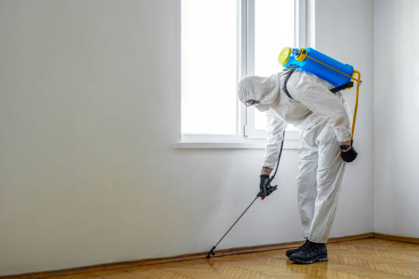 Best Wildlife Control Services  in San Jacinto, CA