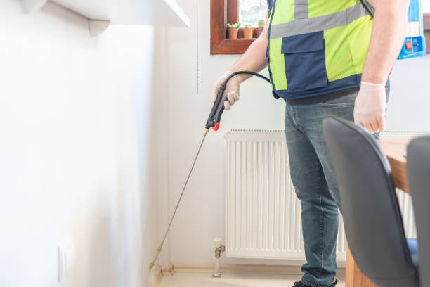 Best Pest Control Near Me  in San Jacinto, CA