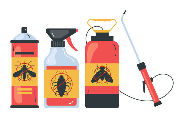 Best Ant Control Services  in San Jacinto, CA