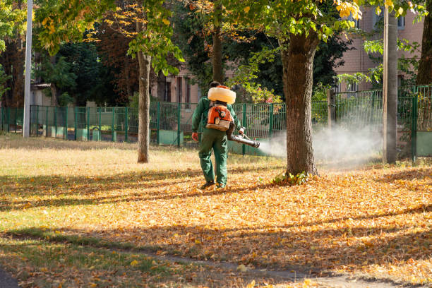 San Jacinto, CA Pest Control Company
