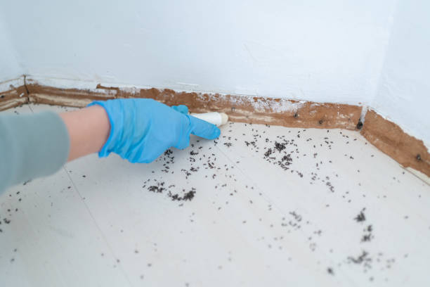 Best Wildlife Control Services  in San Jacinto, CA